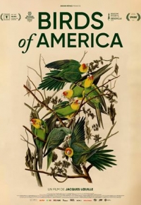 Birds of America (2022)